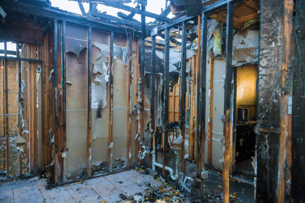 Professional Fire Damage Removal technician working in Kihei, HI
